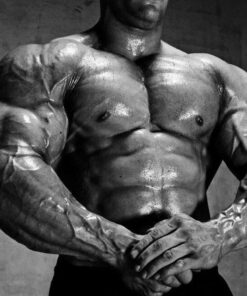Anabolic Steroids